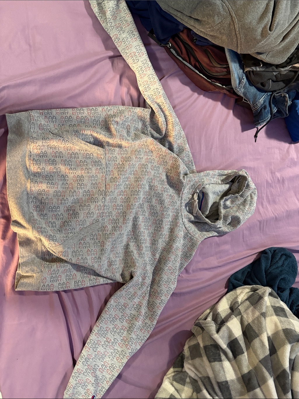 Champion Gray Hoodie With Multicolor Logo Print